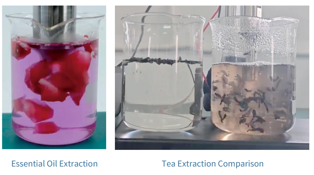 Before and After Ultrasonic Treatment